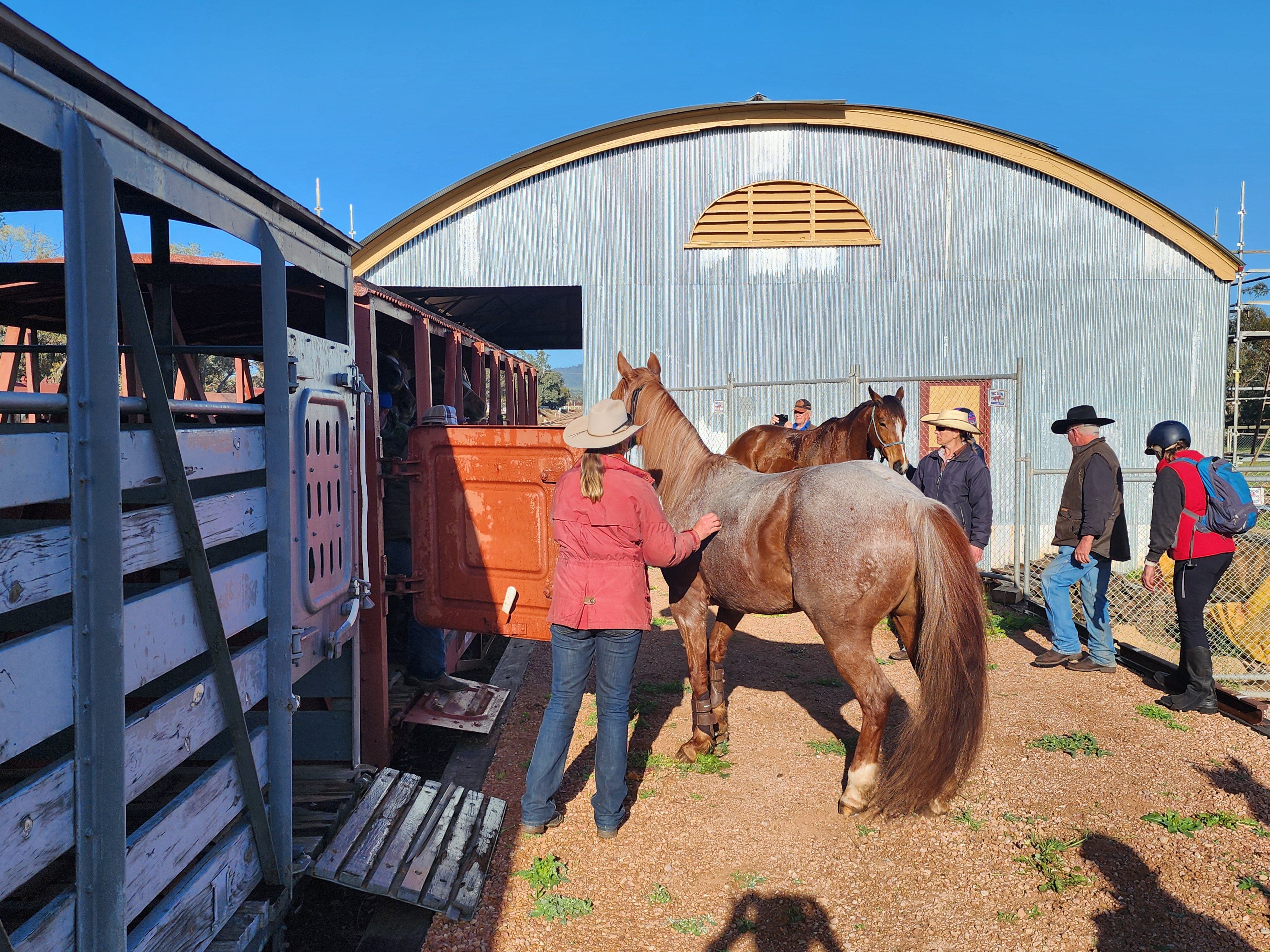 THE GOODS SHED COMES ALIVE AGAIN - First time Restored Goods Shed used for horse loading on 6 September 2026 at Quorn South Australia in the Flinders Ranges